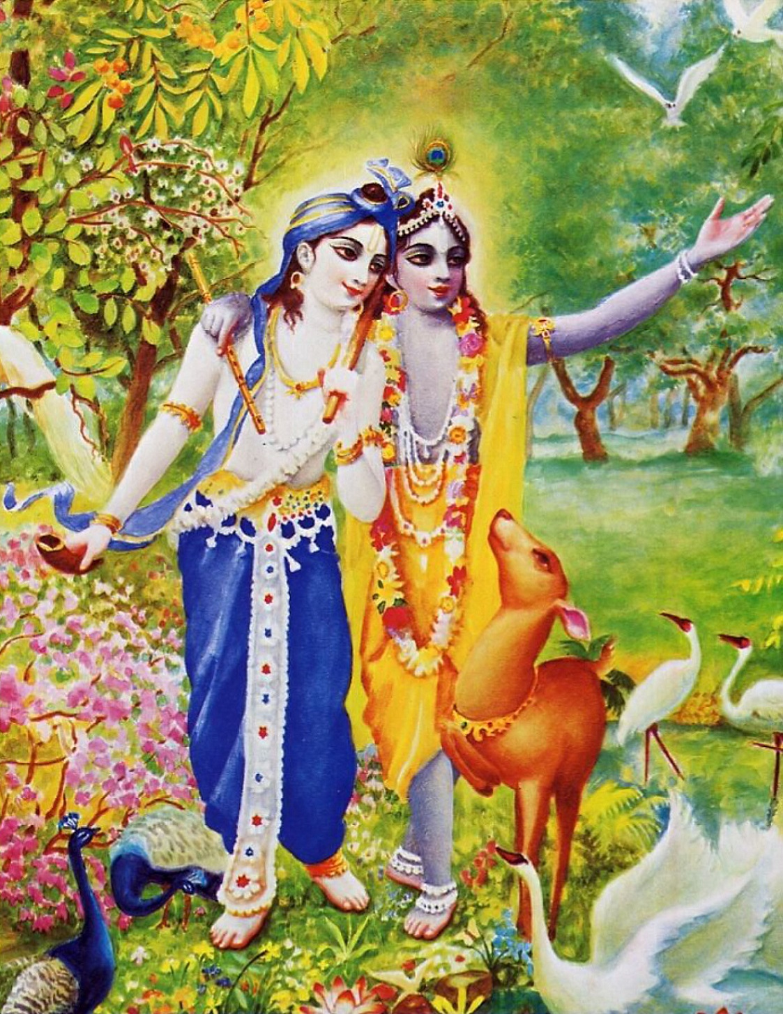 Krishna and Balarama in Vrindavan